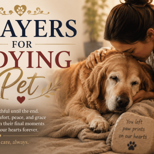 prayers for a dying pet